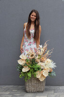 Bohema, kompozycja z anturium i słonecznikiem w koszu