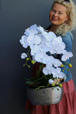 Silverino, biały storczyk w srebrnej donicy, wys.63cm 