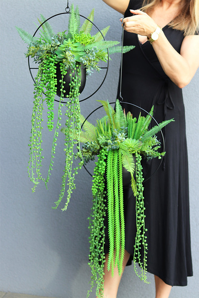 Black Longia, kompozycja sukulenty w Twojej wiszącej donicy, śr.33cm