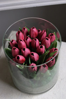 Glasso Menato, różowe tulipany w szkle