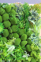 atrakcyjna jednostronna rama, Sukulenty Green Forest, wym.73x54cm