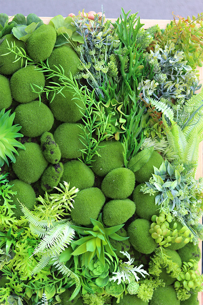 atrakcyjna jednostronna rama, Sukulenty Green Forest, wym.73x54cm