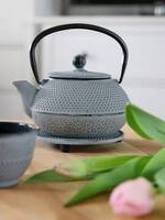 Awaji żeliwny zestaw do herbaty na cztery osoby szary