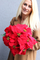 Gwiazda Betlejemska Czerń, wysokiej jakości sztuczna roślina