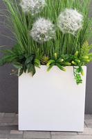 Fiberglass Marco Fretera, sztuczne trawy w białej donicy