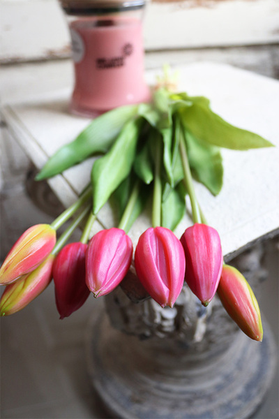 bukiet tulipanów gumowych, Goccia Amaranto, 7szt. dł.40cm