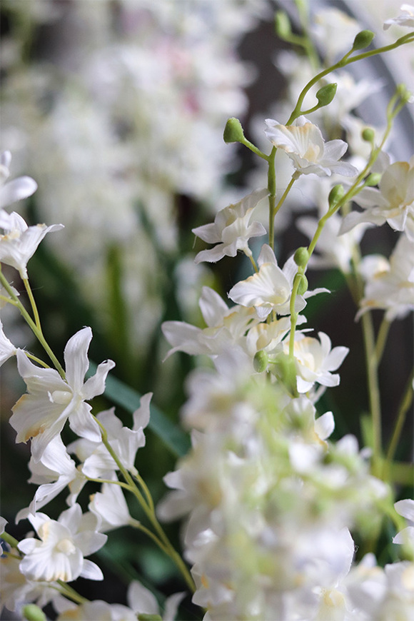 Blackera, sztuczny storczyk tajski, wys.66cm