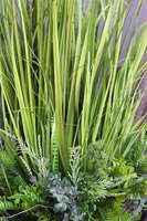 Trawa Latem Saute, sztuczna trawa w stretchu