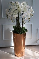 Golderia Copper, elegancki storczyk podłogowy w miedzianej donicy, wys.130cm