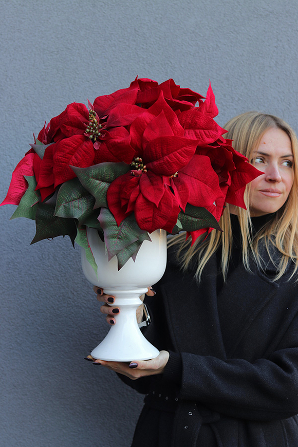 Poinsecja White, sztuczna roślina w pucharze
