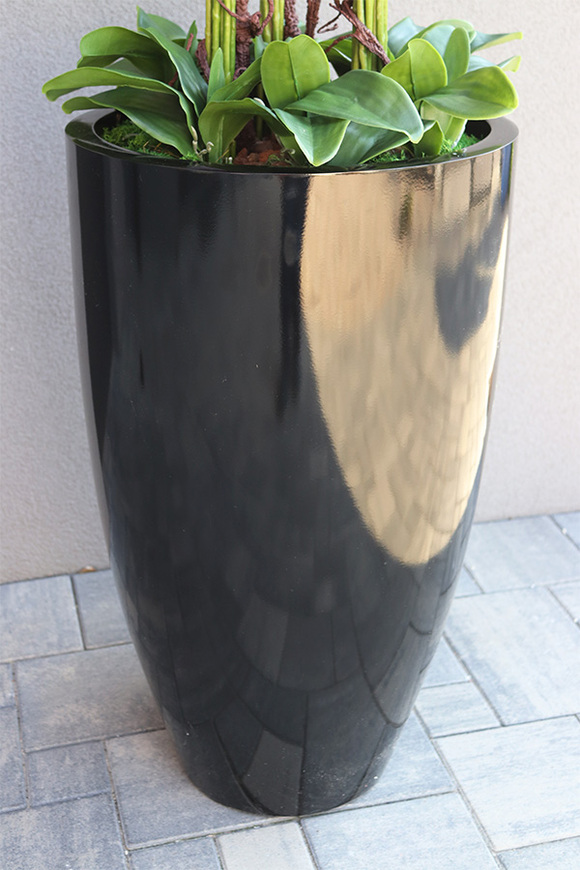 Grande Fiberglass Black Fuksja, efektowny storczyk w czarnej donicy, wys.139cm