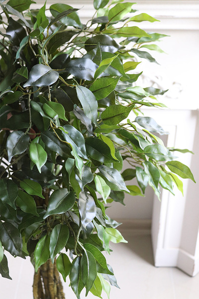 Fikus Benjamin E Goldato, sztuczna roślina w metalowej donicy