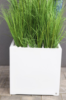 Fiberglass Quartet, sztuczne trawy w białej donicy