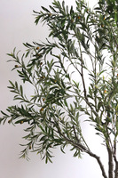 Oliwka Premium XXL, sztuczna roślina drzewko oliwne