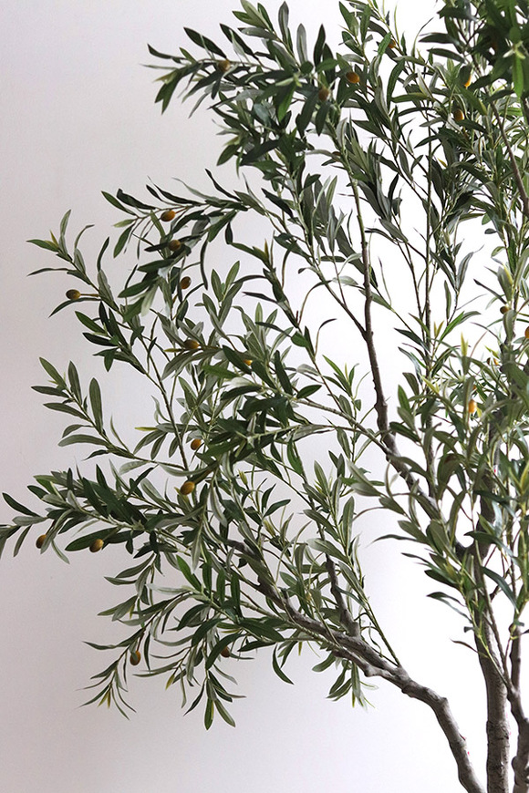 Oliwka Premium XXL, sztuczna roślina drzewko oliwne