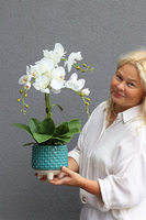 Torino Turtle, sztuczny storczyk w turkusowej osłonce