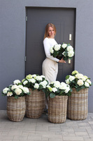 La France C, kompozycja z hortensji w koszu