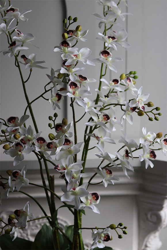 Tajlandia Simple, sztuczny storczyk tajski