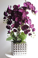 BakłażaNowy, fioletowy storczyk w srebrnej donicy, wys.62cm