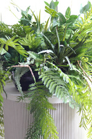 Window Green, zielona kompozycja ze zwisami, wym.28x50cm