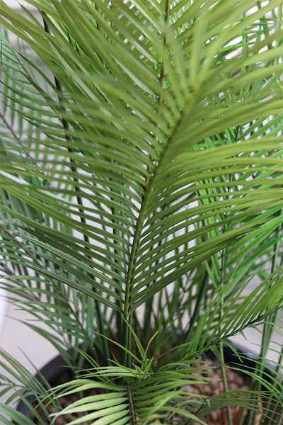 Haiti Concrete, sztuczna palma w betonowej donicy