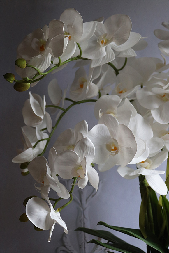 sztuczny storczyk Cinderella Mirror w srebrnej donicy, wys.63cm