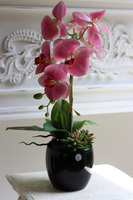 Różowa Pantera sztuczny gumowy storczyk z sukulentami