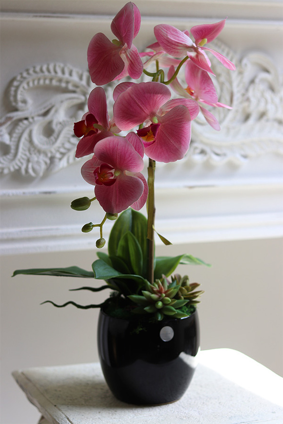 Różowa Pantera sztuczny gumowy storczyk z sukulentami