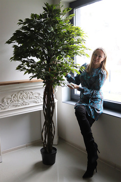 fikus Benjamin, sztuczne drzewko, wys.200cm  