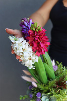 Hiacyntowo Dekory, kompozycja z hiacyntów w złotej doniczce