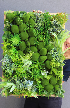 atrakcyjna jednostronna rama, Sukulenty Green Forest, wym.73x54cm