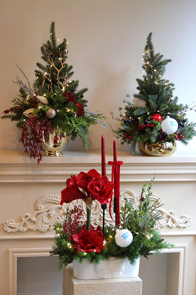 Amarylis Denerra Branding, świąteczna kompozycja z czerwonymi kwiatami