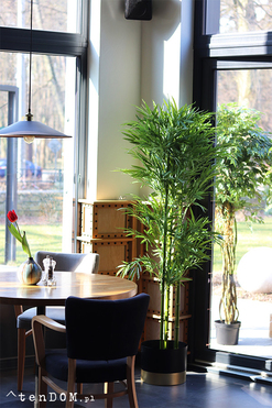 Bambus Goldino, sztuczna roślina w donicy, wys.175cm 