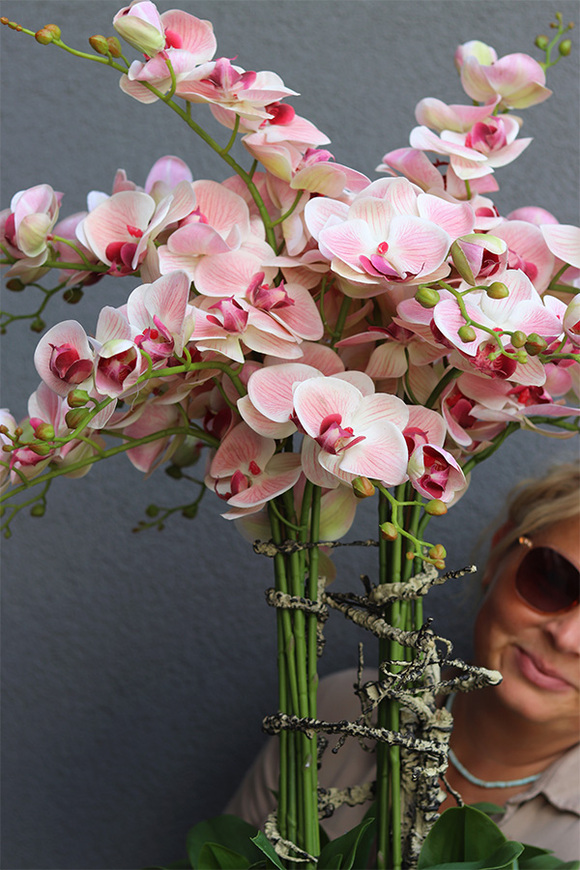 Ballerina Mediolan, podłogowy gumowy storczyk w białej donicy