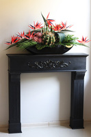 Laos Strelicja Grandena, egzotyczna kompozycja w białej donicy