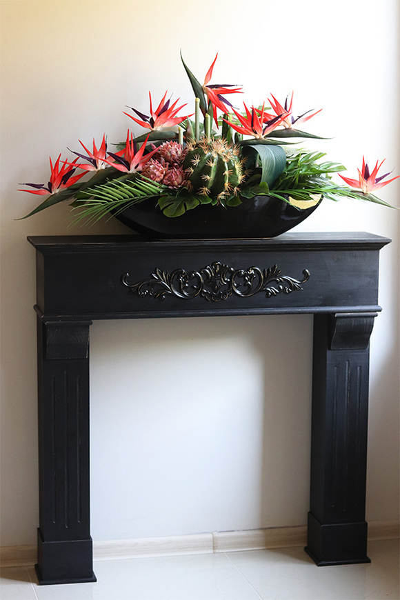 Laos Strelicja Grandena, egzotyczna kompozycja w białej donicy