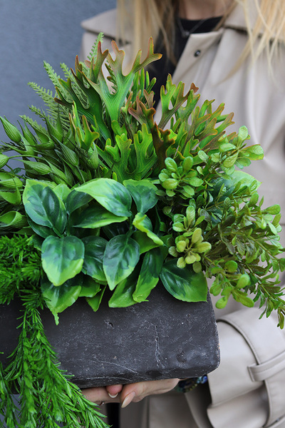 Zielone Domy, kompozycja w betonowej donicy