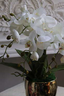 Gold Basics 2, storczyk w złotym naczyniu, wys.40cm