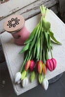 bukiet tulipanów gumowych, Goccia Amaranto, 7szt. dł.40cm