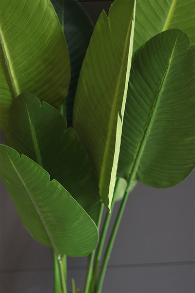 Bananowiec Simple Silver, sztuczna roślina w donicy