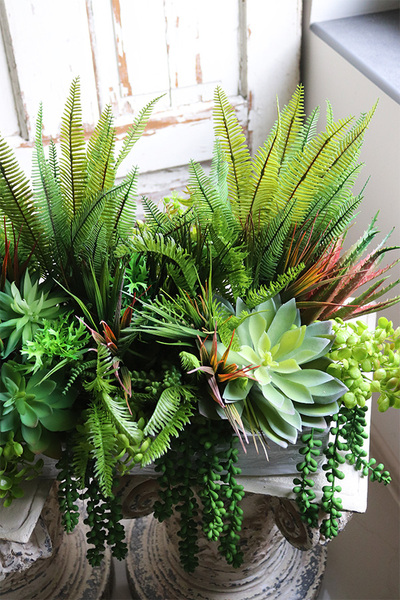 Grefsa, kompozycja sukulenty do Twojej donicy, rozpiętość 70cm