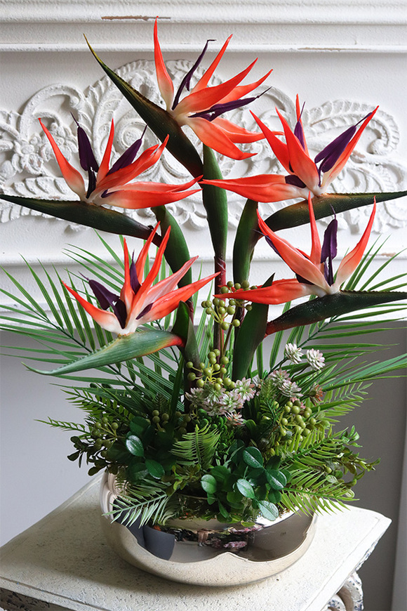 Strelicja Gold Pompadour, kompozycja w złotej donicy