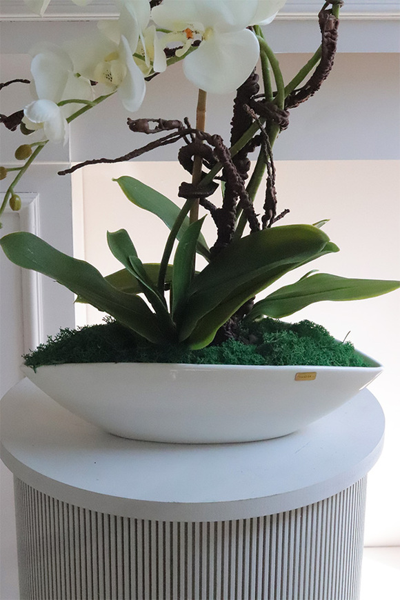 laos White Delani, sztuczny storczyk w białej donicy