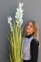 Walia, sztuczna trawa z białymi kwiatami