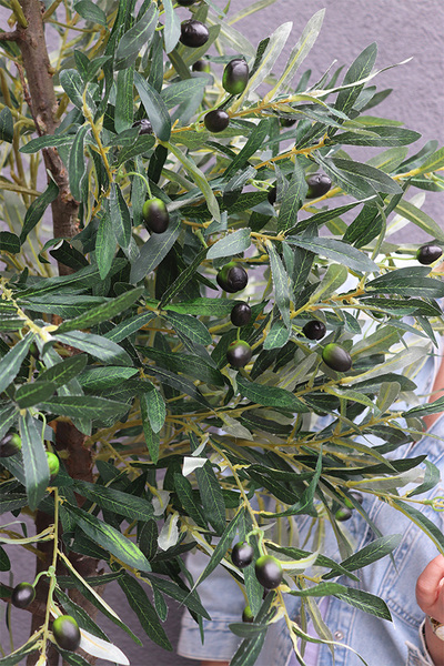 Drzewko Oliwne Hiltonka, sztuczna roślina w srebrnej donicy