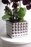 BakłażaNowy, fioletowy storczyk w srebrnej donicy, wys.62cm