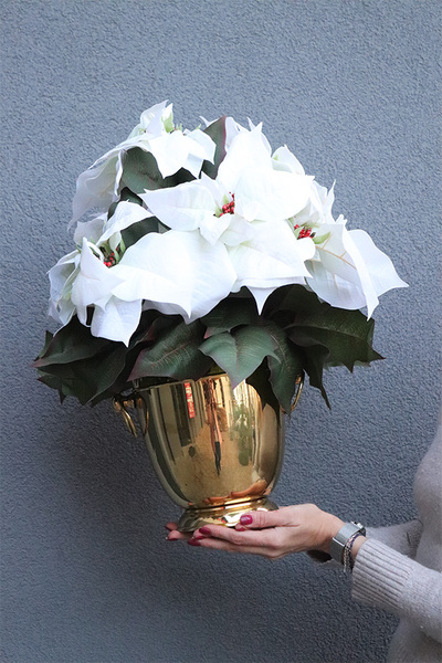 Gwiazda Betlejemska Cooler Gold, wysokiej jakości sztuczna roślina	