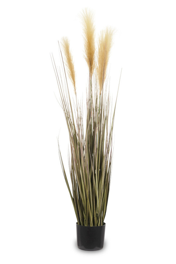 sztuczna trawa Pióropusze, kolor słomkowy, wys.123cm