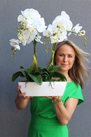 sztuczny storczyk w białej donicy Nemira