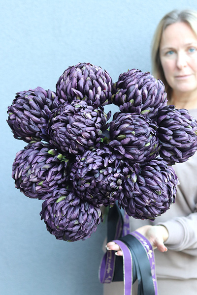 Śliwkowa Chryzantema, bukiet chryzantem